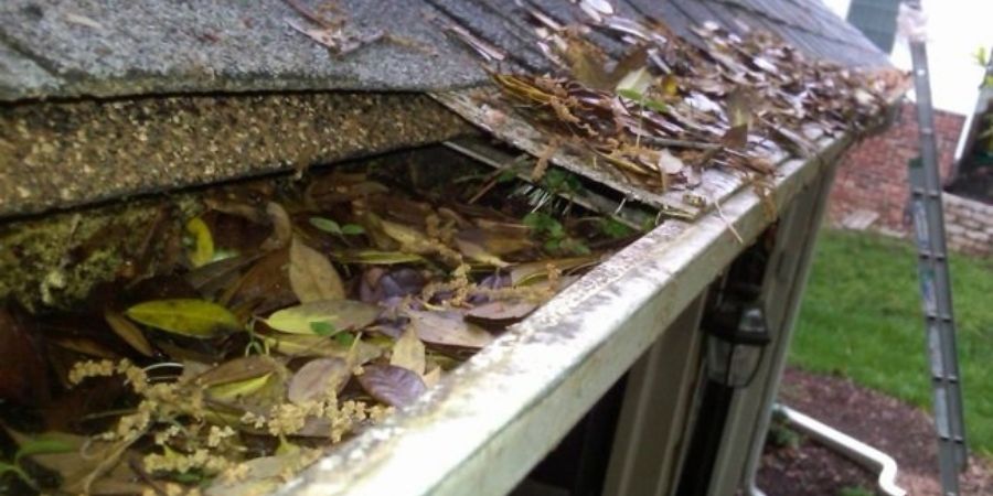 clean pro gutter cleaning northport al
